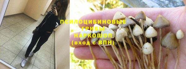 тгк Пестово