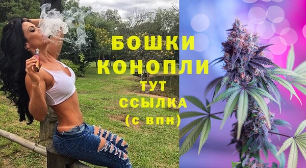 тгк Пестово