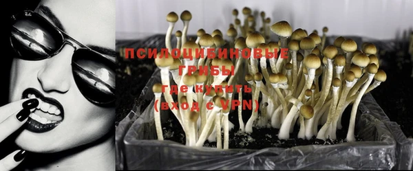 тгк Пестово