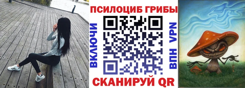 мега ONION  наркошоп  Таштагол  Псилоцибиновые грибы Cubensis 